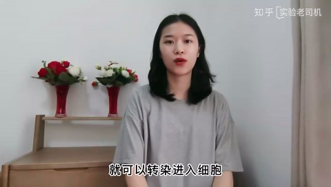 什么是miRNA的模拟物和抑制剂？