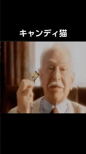 【猫ミーム】キャンディ猫 ヴェルタースオリジナル