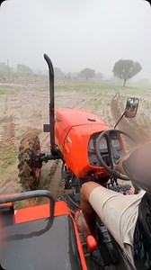 Early days of plantation (Jul 2023) #Farming | Haryana Gaurav