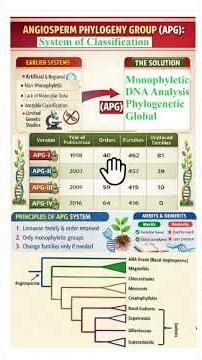 APG system of classification for plants; APG I, II, III, IV (2016)