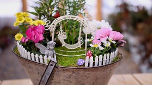 Think Spring!!! 🌷🌸💜 | Garden Answer