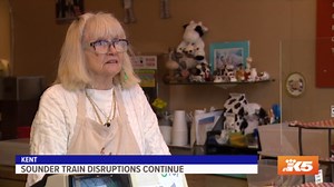 Sound Transit says service disruptions for S, N lines will remain in effect