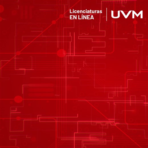 Estudiar tu Licenciatura en Línea en UVM te permite revalidar hasta el 100% de tus materias. Nuestro proceso es rápido y sencillo. | UVM