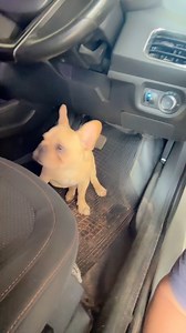 Lavar o carro | Alan Rodrigues