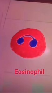 7.8K reactions · 649 shares | #microbiology #microbiologist #microbiologylab #explorepage #bacteriology #microbe #science #molecularbiology #kesfet #virology #microbiologia #bacteria #bakteri #mikrobiyoloji #immun #immunity #immunité #immunsystem #blood #cell #protection #phd #lab #laboratory | Medical Microbiologist | Facebook