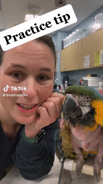 Understanding Abnormal Fluid Absorption in Avian Patients