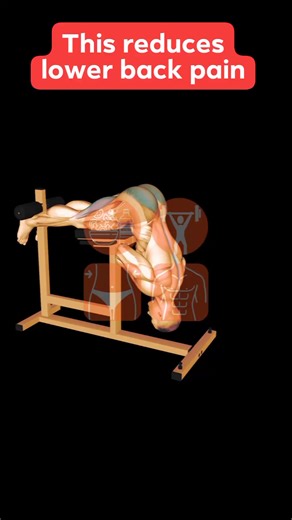 9.4K views · 153 reactions | Strengthen Your Lower Back and Improve Posture: Hyperextension (Version 2) Benefits of Hyperextension (Version 2): Strengthens lower back muscles Improves posture Reduces lower back pain Increases core stability Hyperextension #leverbackextension #backworkout #improveposture #lowerbackworkout #lowerbackpainrelief #increasecorestability | Explore Health Blog | Facebook