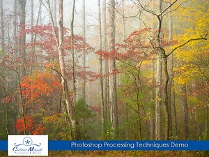 Photoshop Processing Techniques Demo