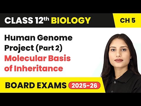 Human Genome Project (Part 2) - Molecular Basis of Inheritance | Class 12 Biology Chapter 5 | CBSE