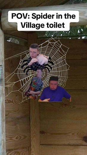 Spider in Toilet Meme: Funny POV Video