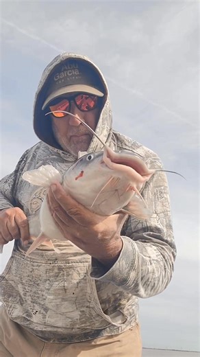1/1/2026 First Catfish Of The Year. Danny King suki gizzard punch bait and Danny King signature series rods with Abu Garcia 6500c3 Sweden made Reels. | Scott Howard