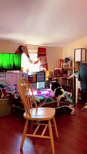 #stitch with @python_tempter I thought this was gonna be an amusing fail. Instead it is an amusing win! #OneTakeWonder #Huscular #thirsttrap #nerdtrap