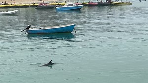 3.6K views · 23 reactions | YouTube https://youtu.be/M4YBUZWm2JQ...