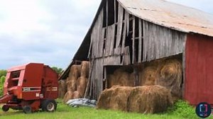 28 reactions | The sun is shining on Championship Sunday! ☀️ Watch FPO Final Round action LIVE here: discgolfnetwork.com Round 2 Recap: https://www.pdga.com/news/round-2-headliner-takes-stage | Disc Golf Pro Tour | Facebook