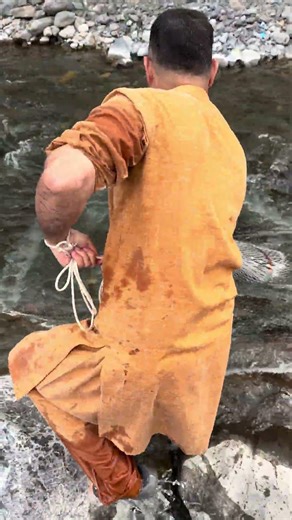 What a amazing net casting in fresh stream #fishing #netfishing