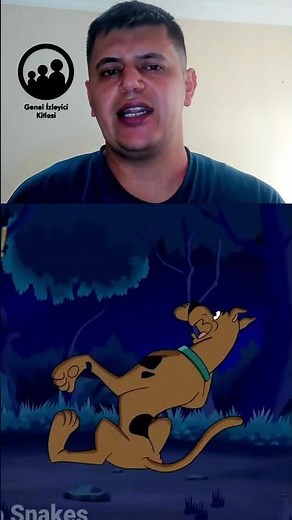Scooby-Doo! And The Legend Of The Vampire (Scooby-Doo! Ve Vampir Efsanesi 2003) İnceleme ve Yorumu