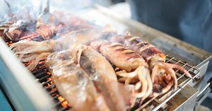 A friendly reminder not to accidentally get squid sperm in your mouth, it hurts