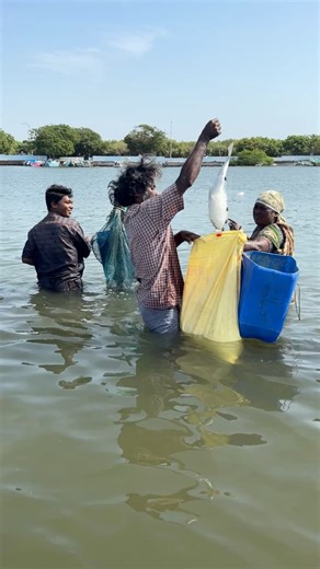 Unbelievable! Biggest Mullet Caught Using Bottle Trap Fishing 😲🔥 | Snakehead Angler Amar