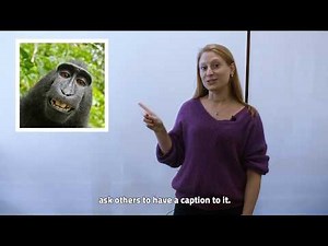 What to post on Twitter