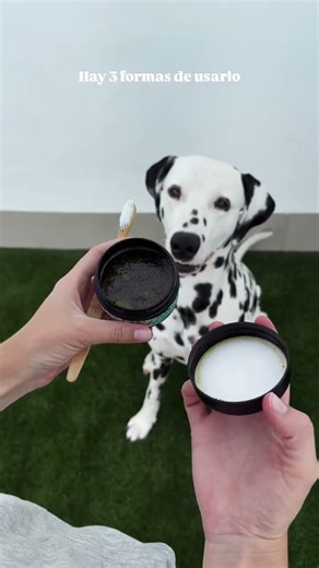 ¡Dentífrico 100% natural y comestible!