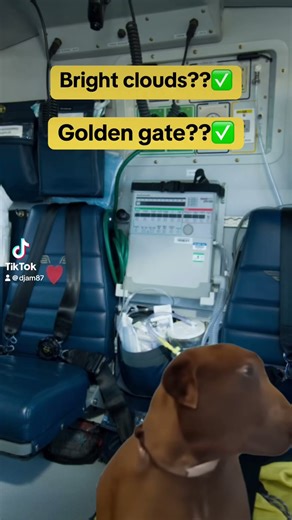 EMS Helicopter Humor: “This Is NOT Our Helipad!” 😂 #helicopter #firstresponders #airambulance #ems