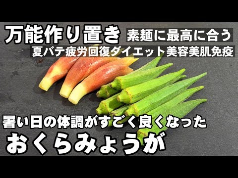 旨すぎて痩せる！オクラとミョウガ 万能常備夏野菜ヘルシー簡単レシピ 作り置き 副菜 居酒屋 素麺 冷麦 冷奴 美容美肌 健康 高血圧予防 おくら 茗荷 めんつゆ 裏技 ライフハック