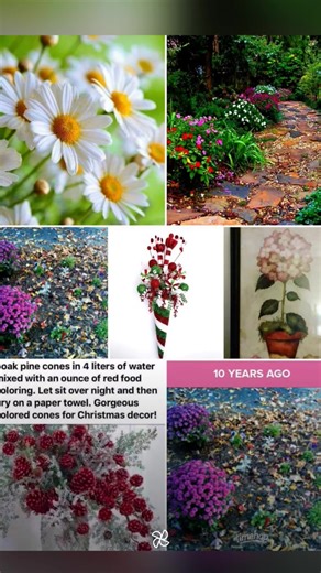 Debbie Jones on Reels | Facebook