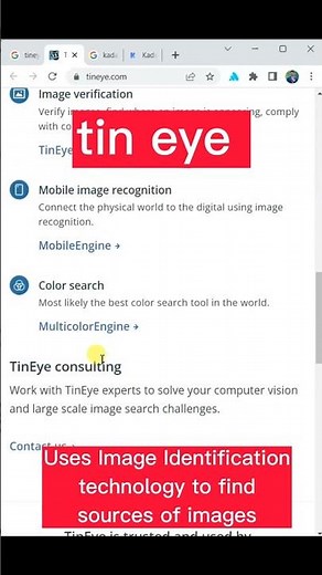Tineye Kadama #websites #website #tineye #image #reverseimagesearch #imagerecognition #kadama#apps