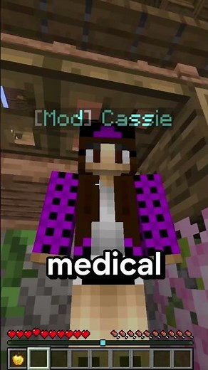 Best new Java/Bedrock Crossplay Origins SMP 1.21+