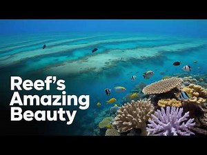 26 Best Summer Vacation: Ideas for Your Perfect Trip!