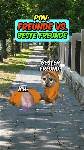 Friends vs. BEST FRIENDS #catvideos #bestfriends #shorts