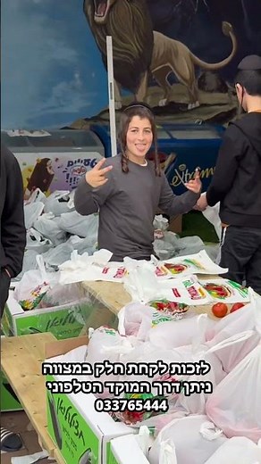 Documentation of the dispute over the Passover flour of the Gaon Hinoka. A kosher and happy Passo...