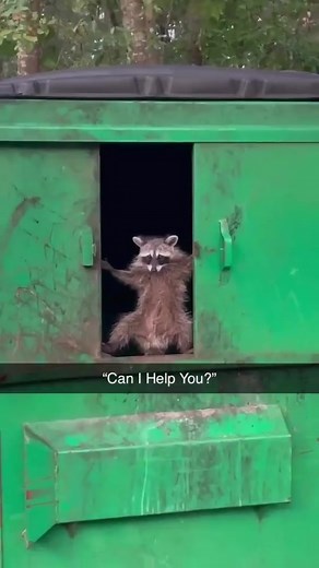 Funny Old Man Peeking Out Window Memes Compilation