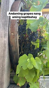 89K views · 2.8K reactions | Nasa gilid lang nadadaanan. | Pearly Alms | Facebook