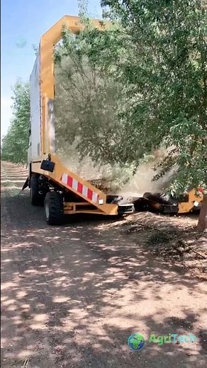 Pistachio Harvesting Machine in Action | Massive Farm Technology 🌰🚜