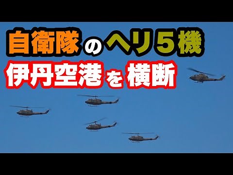 陸上自衛隊第三師団のイベントのため、コブラなどのヘリ５機が大阪伊丹空港の北部を横断