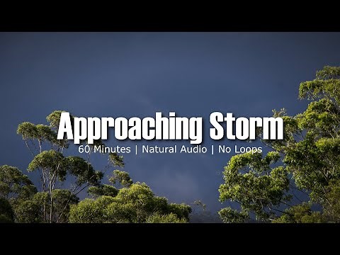 Approaching Thunderstorm | Relaxing Natural Storm Sounds | Focus, Study, Sleep, Relax | 1 Hour Audio