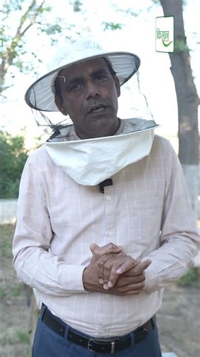 मधुमक्खी पालन में Bee को क्यों देते हैं Artificial Diet जानिए | Beekeeping | Madhumakhi Palan