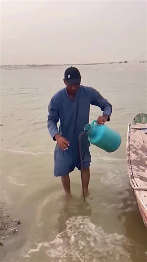 Expert Tips for Safely Catching Snakes in the Wild