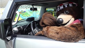 Do you love pizza as much as Monte? Thanks to Domino's Pizza you have the chance to win a FREE pizza and a visit from your favorite bear. Check out the delivery of the month! #GoGriz | Montana Grizzlies