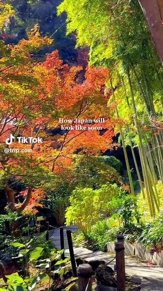Autumn in Japan: Vibrant Leaves, Hiking, Sightseeing