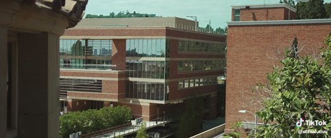 Always a good day to share a few cinematic clips of Campus! 🎥 ... [Video Description] This video presents a scenic, cinematic tour of the UCLA campus, highlighting its iconic architecture, green spaces, and vibrant student life. The footage begins with a sweeping view from the top of Janss Steps down toward the sports fields and Drake Stadium, then shifts to peaceful shots of the Franklin D. Murphy Sculpture Garden, brick Collegiate Gothic buildings, and street lamp posts adorned with blue