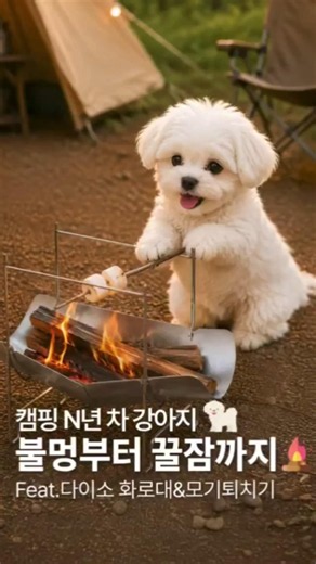 캠핑 N년차 강아지의🐶 다이소 캠핑 꿀조합 등장!🏕️ 다이소 조립식 화로대🔥불멍하고 모기퇴치기로🦟꿀잠까지!🌙 ※해당 영상은 생성형 AI로 제작되었습니다.#다이소 #다이소캠핑용품