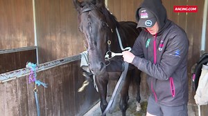 5.6K views · 71 reactions | "He hasn't lost his ability..." Ranting clinched a surprise shot at a Group 2 in Adelaide on Saturday when he ran clear to record a soft jumpout win at Werribee on Monday morning. | Racing.com | Facebook