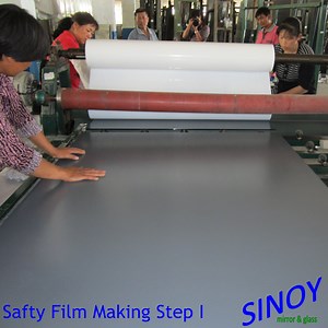 [Hot Item] Sinoy Vinyl Backing Safety Mirror with Cat I or Cat II Film