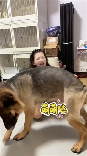 ✨Help! This dog is a genius! 🤣 It stood up and danced with its owner, and its moves are so mesmer...