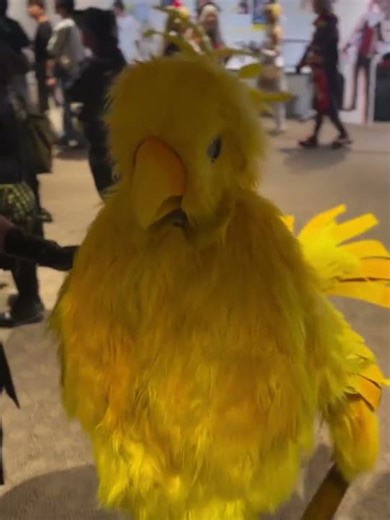 Chocobo sound 陆行鸟叫声