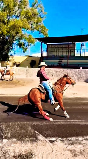 Sebastián “La Liebrita” Impresiona con una Punta Charra Espectacular 🔥🐎