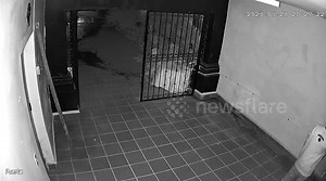 Orbs and other intruders triggered the Security Camera. There is no light, only infrarred camera monitoring during the Night.
