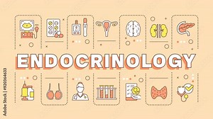 Endocrinology word cloud animation. Endocrine disease. Medical treatment, healthcare. Human organs, anatomy. Animated banner with colorful icons. HD video with alpha channel. Motion graphic
